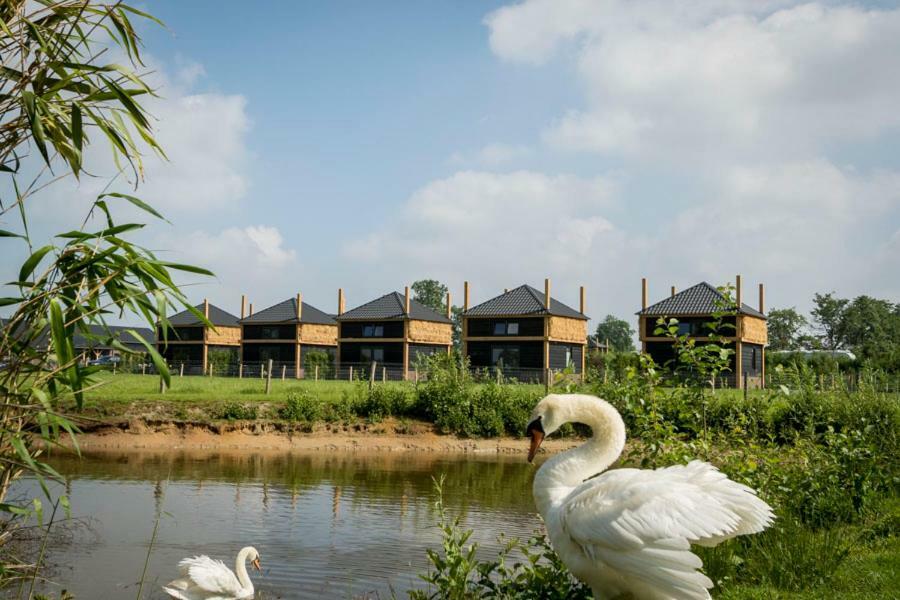 Camping Nieuw Romalo Voorthuizen Exterior photo